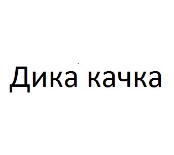 дика качка