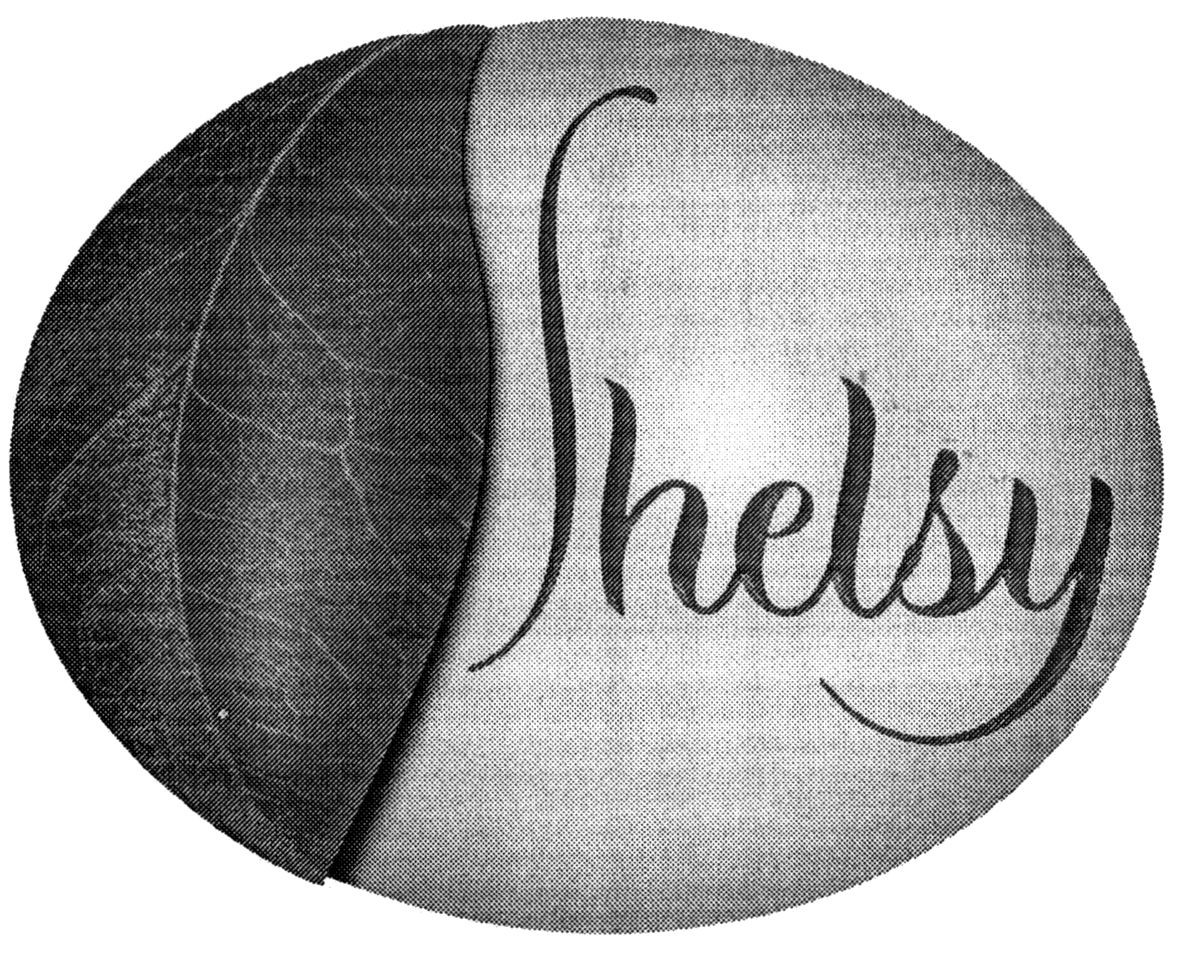 shelsy