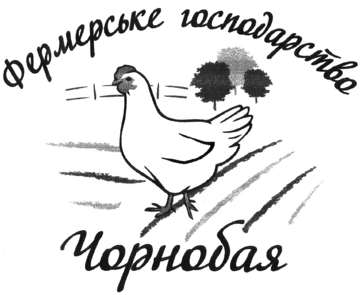 фермерське господарство чорнобая