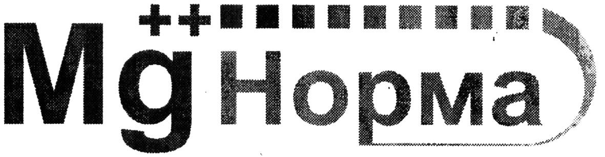 mg++норма