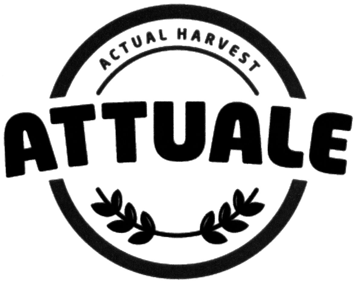 actual harvest