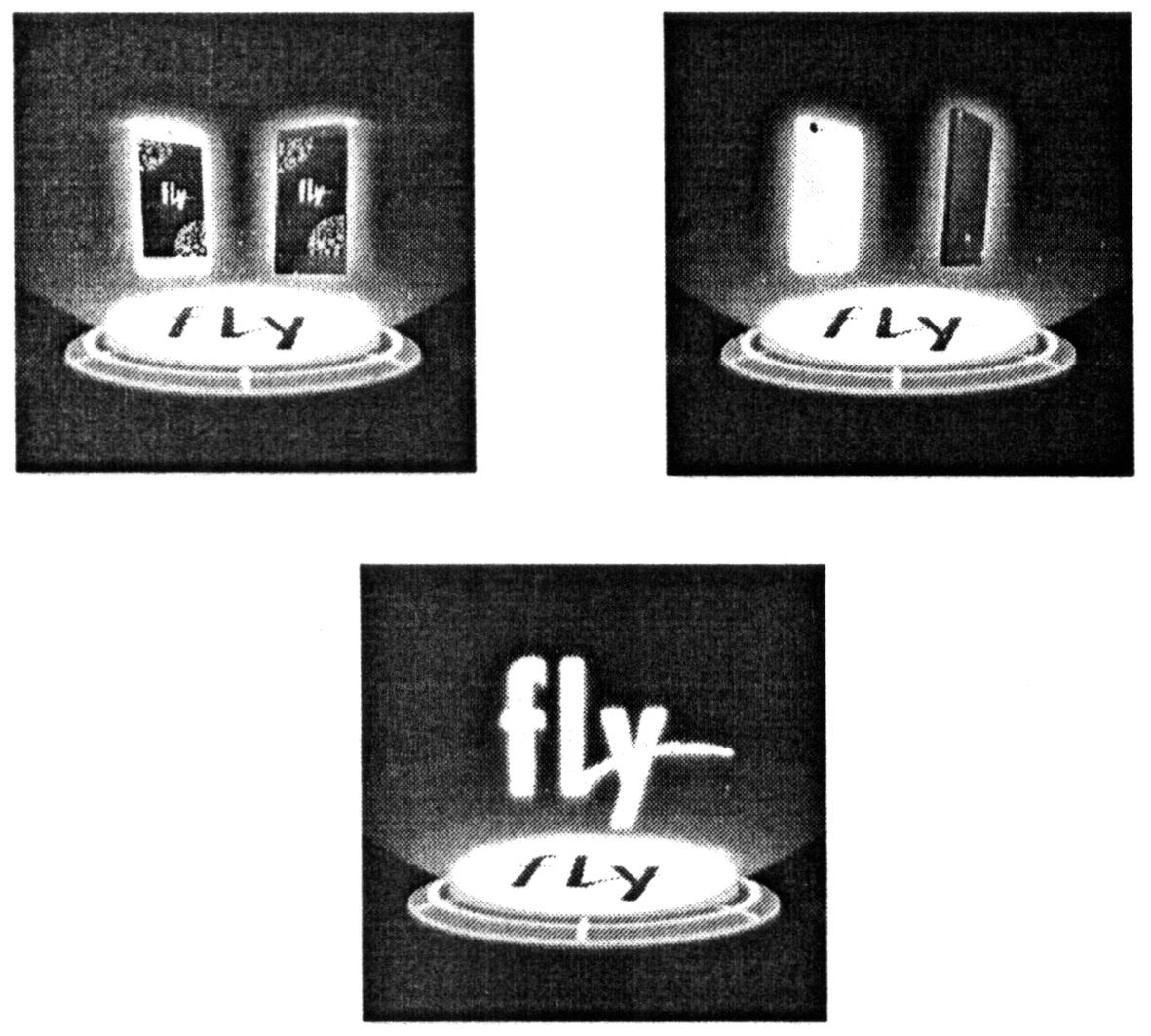 fly