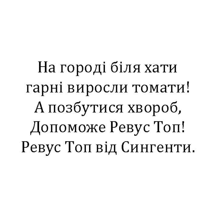 на городі біля хати гарні виросли томати!