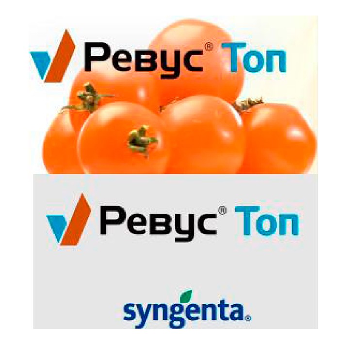 ревус топ