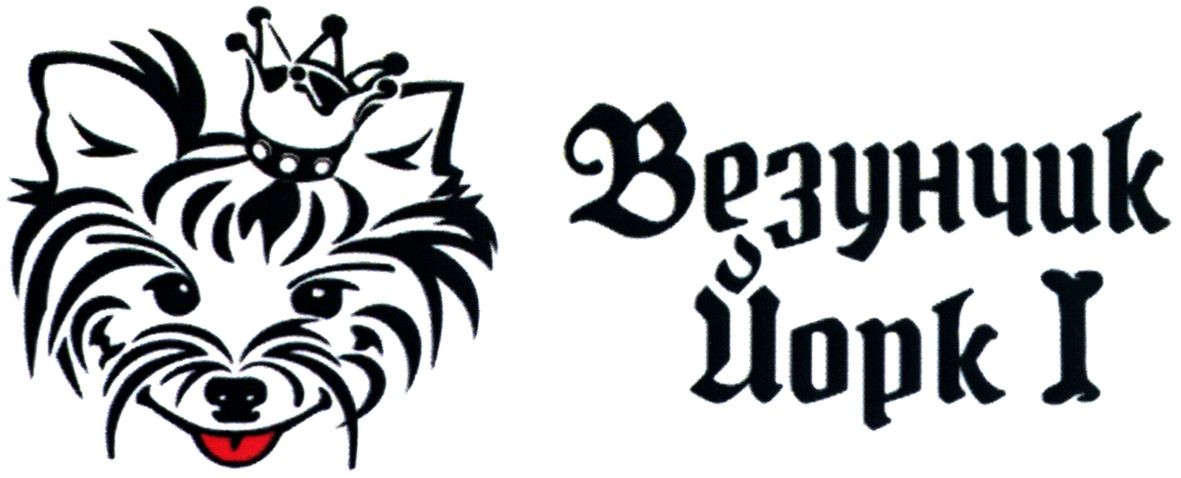 везунчик йорк 1