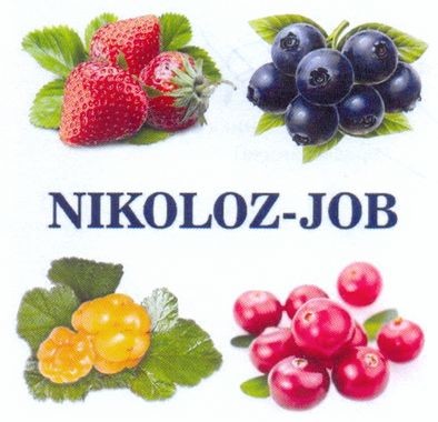 nikoloz-job