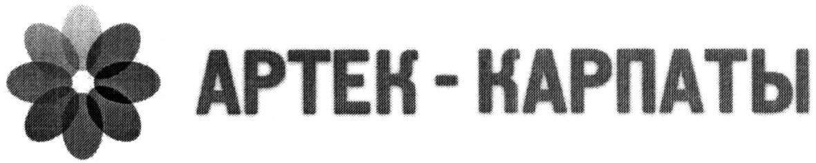 артек-карпаты