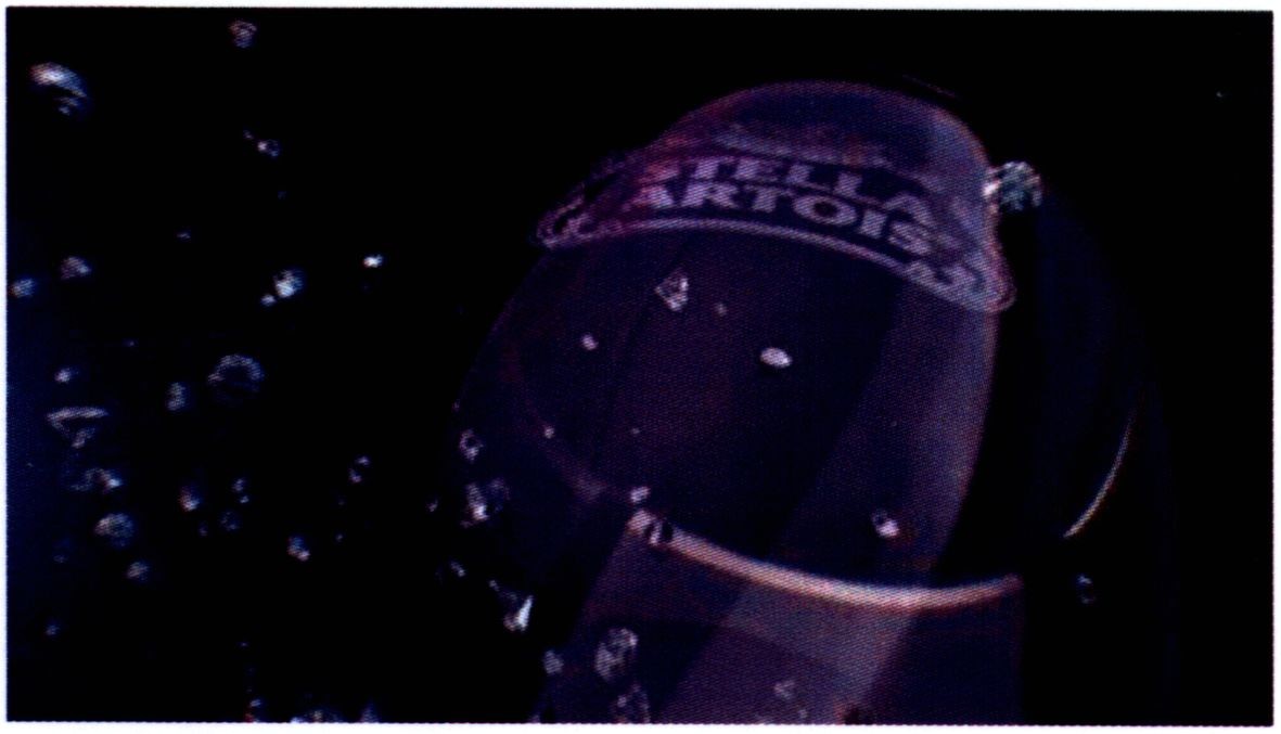 stella artois