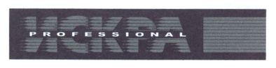 professional