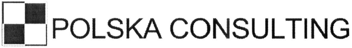 polska consulting