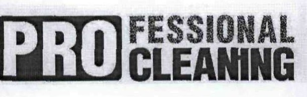 professional cleaning