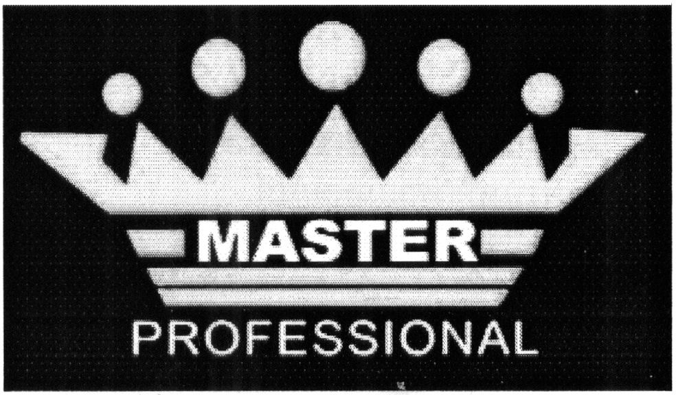 master professional