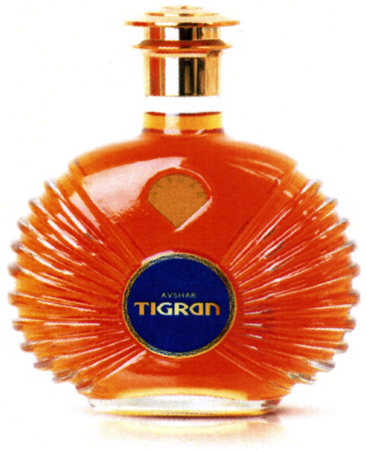 avshar tigran