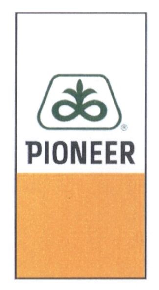 pioneer