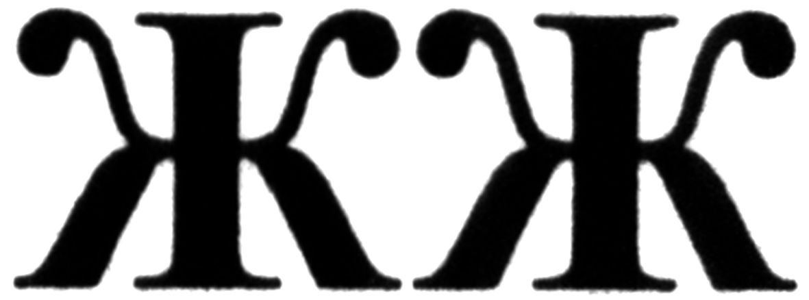 жж
