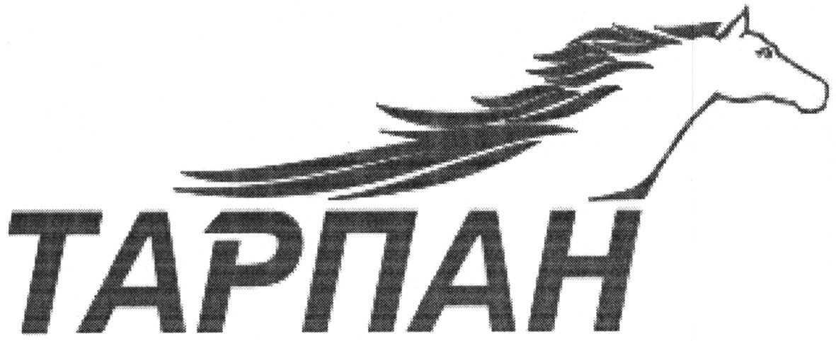 тарпан