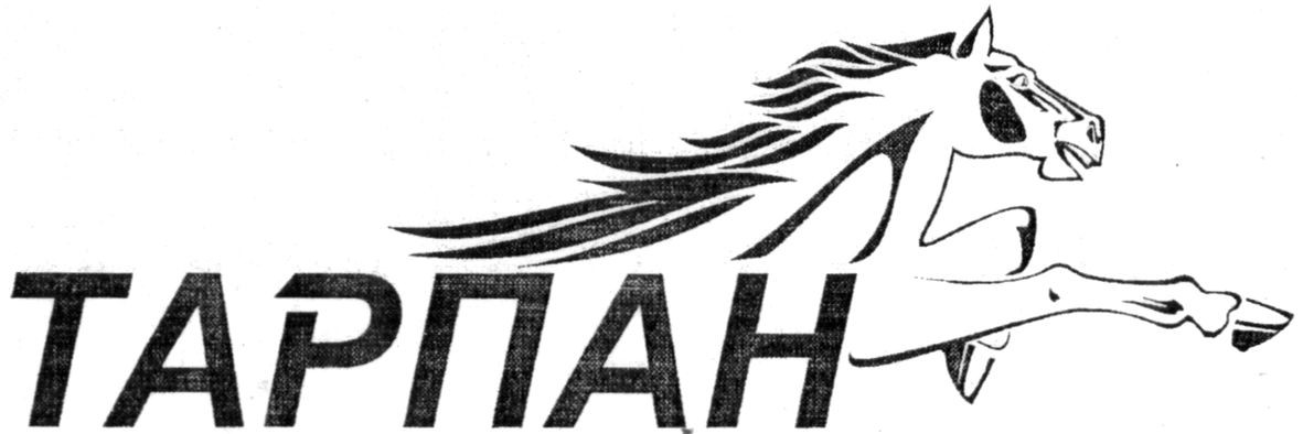 тарпан