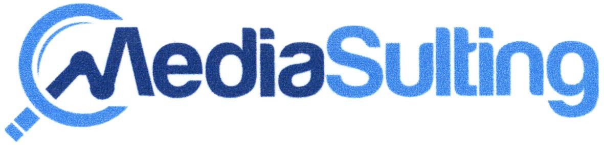 mediasulting