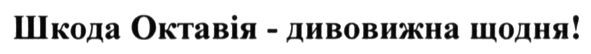 шкода октавія-дивовижна щодня!