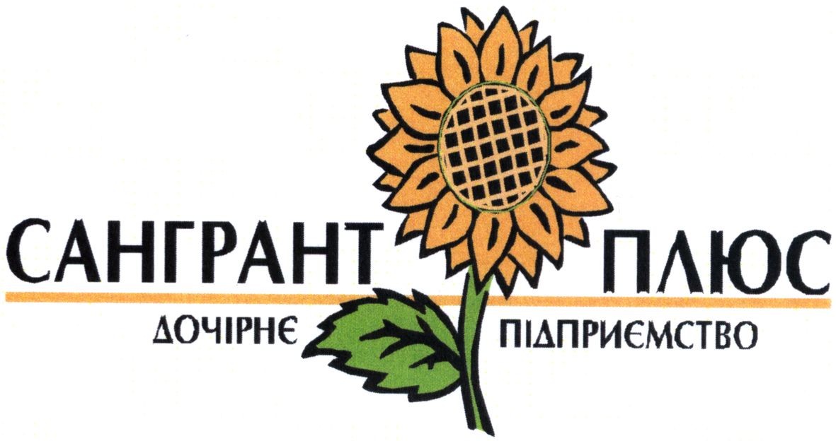 дочірнє підприємство