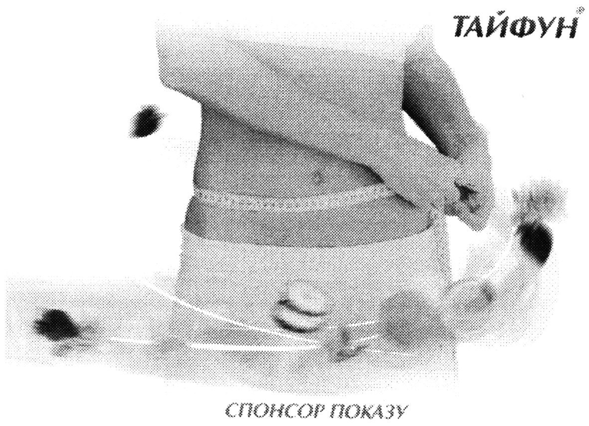 спонсор показу