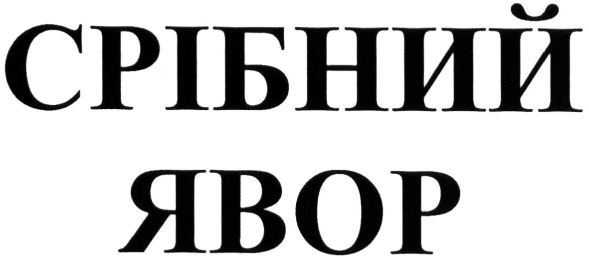 срібний явор