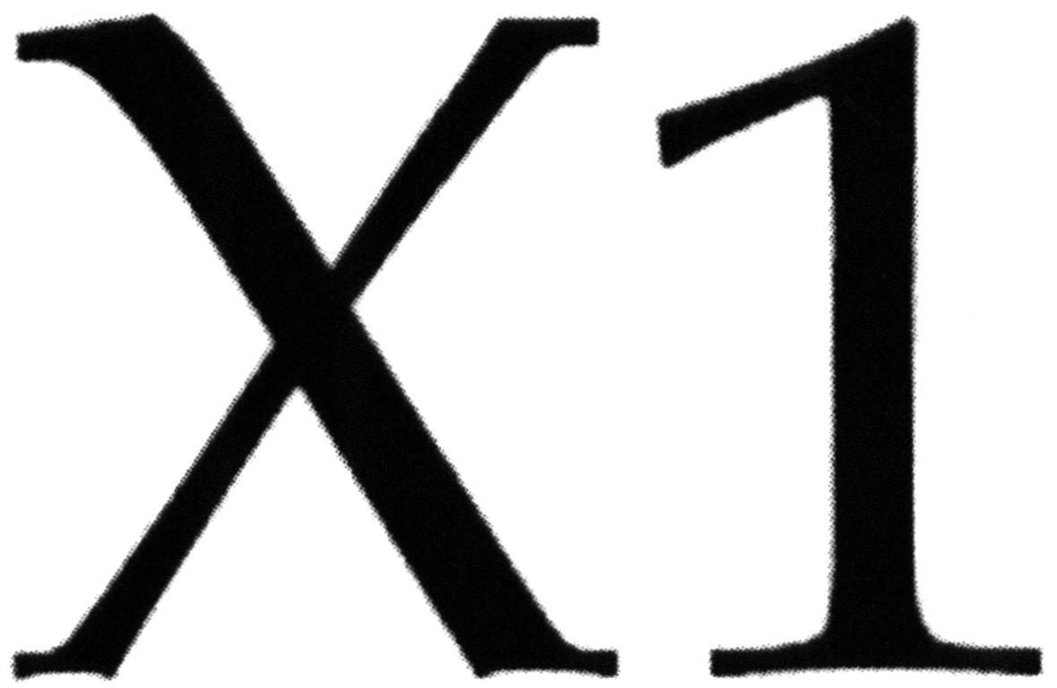 x1