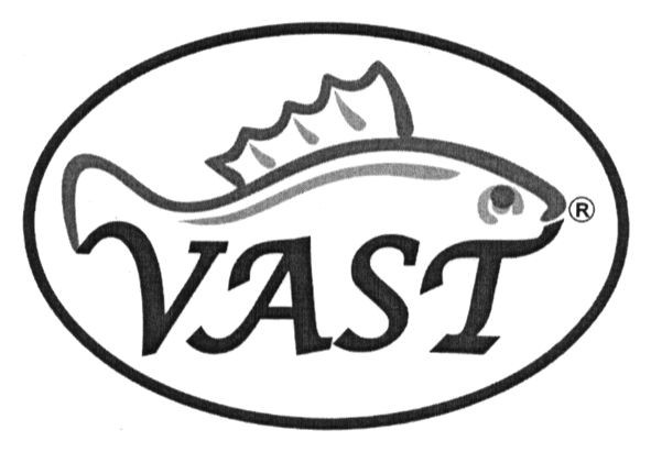 vast