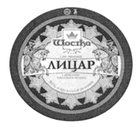 шостка