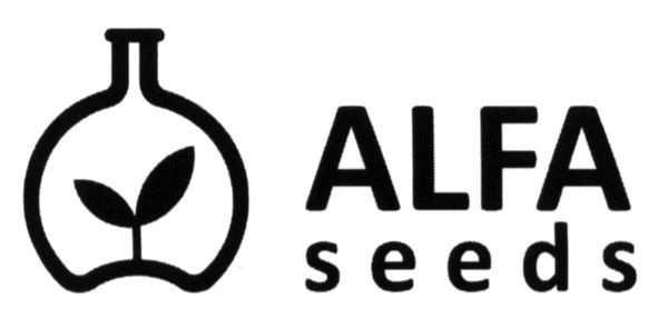 alfa seeds