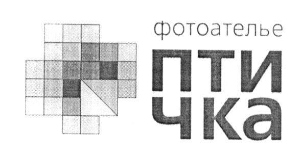 фотоателье птичка