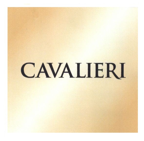cavalieri