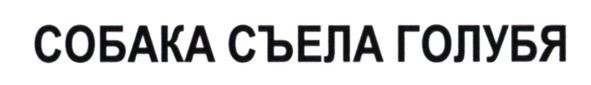 собака съела голубя