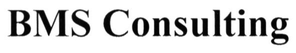 bms consulting