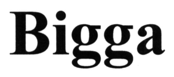 bigga