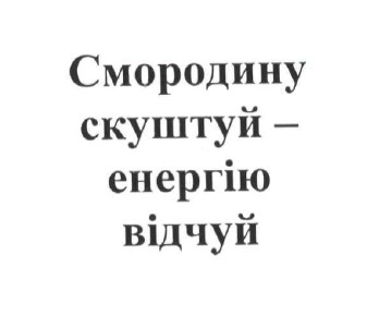 смородину скуштуй-енергію відчуй