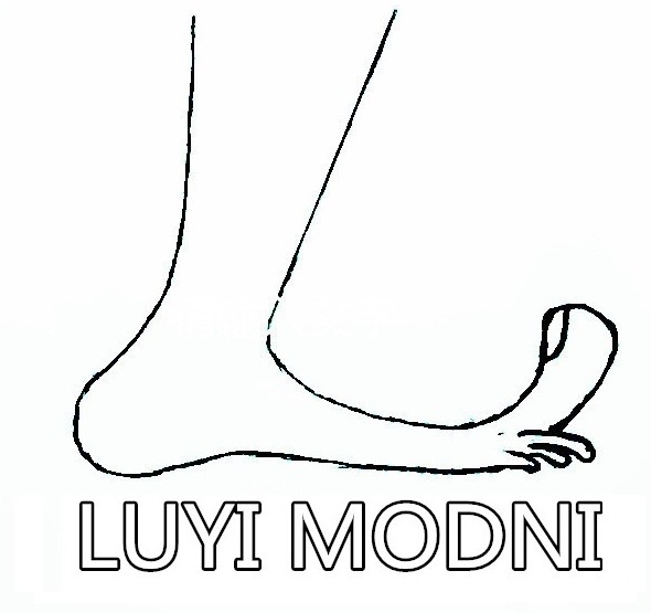 luyi modni