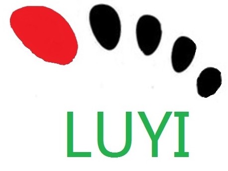 luyi