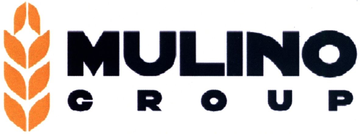 mulino group