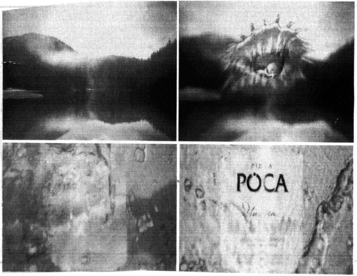 рідна роса