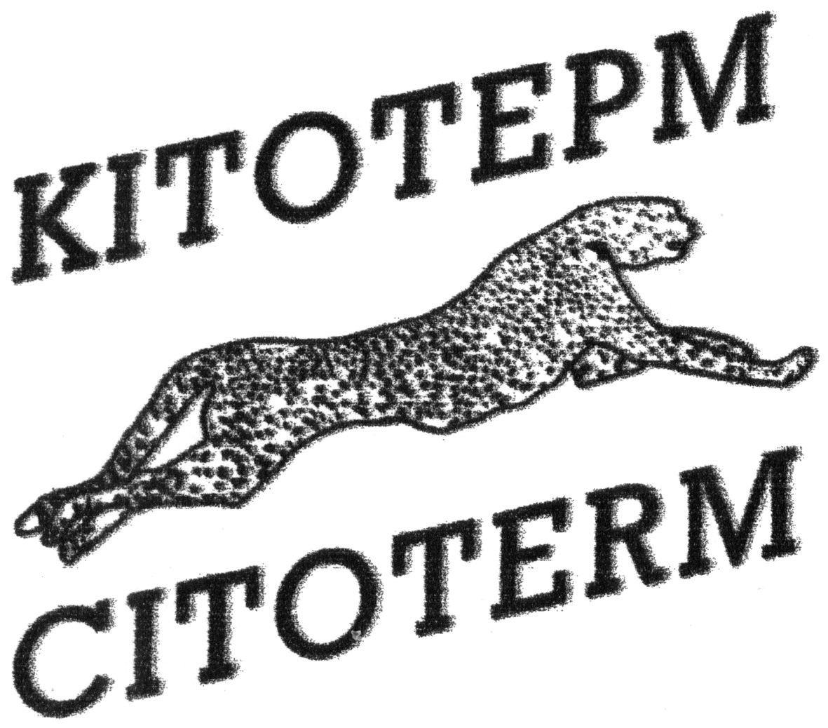 кітотерм