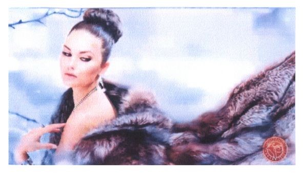 музенідіс тревел