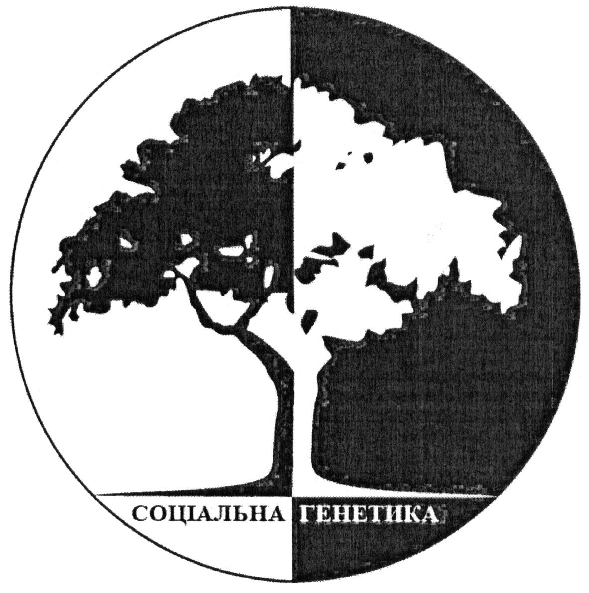 соціальна генетика