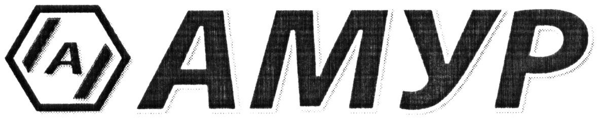 амур