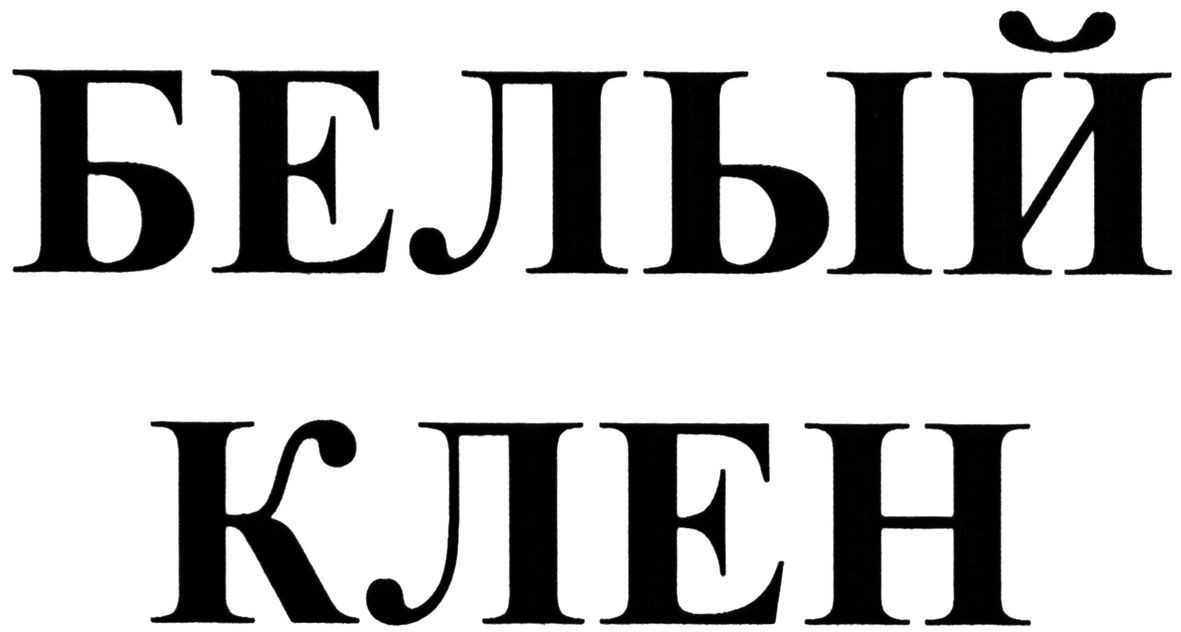 белый клен
