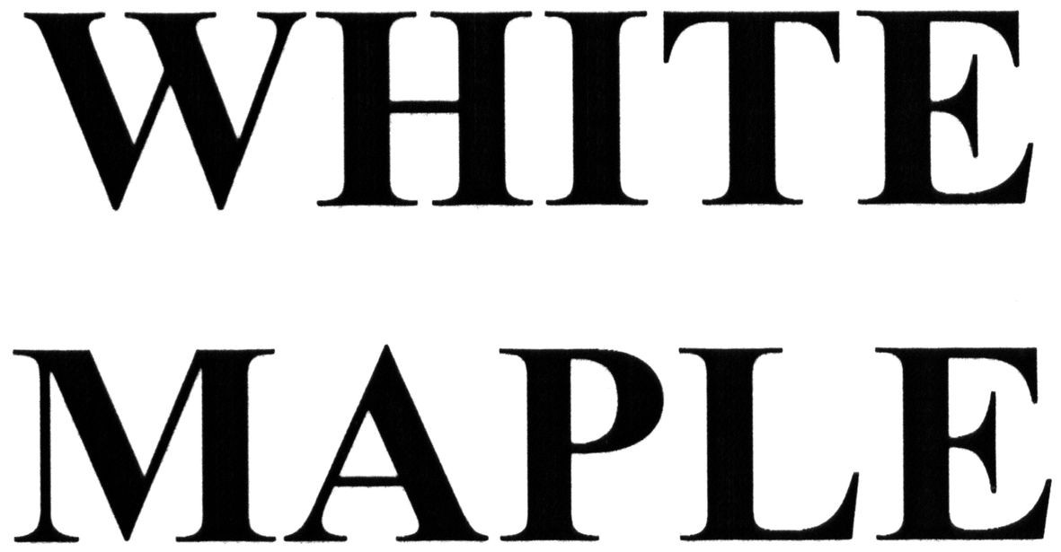 white maple
