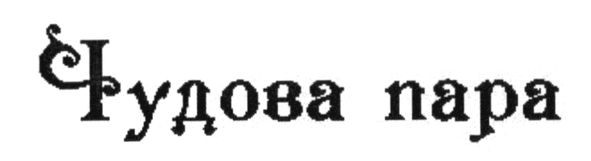 чудова пара