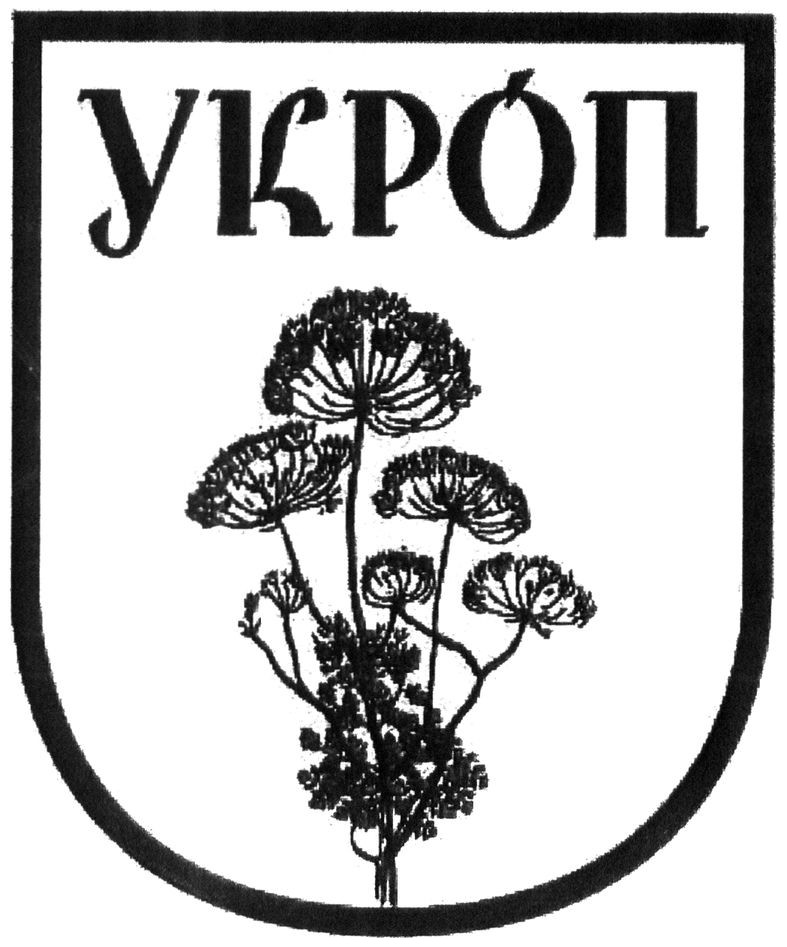 укроп