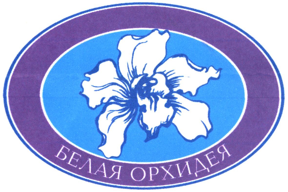 белая орхидея