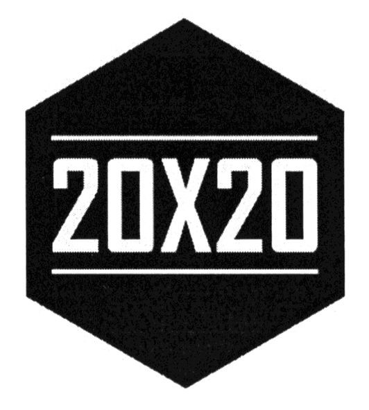 20x20